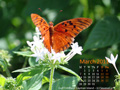March in Calendar