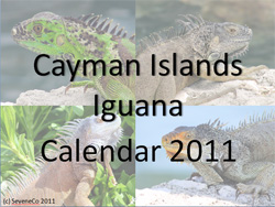 Free printable calendar 2011 - Cayman Islands