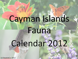 download free calendar 2012 - Cayman Islands fauna