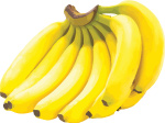 Free bananas vector