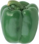 free green pepper vector