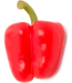 free red pepper vector 