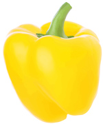 free yellow pepper vector