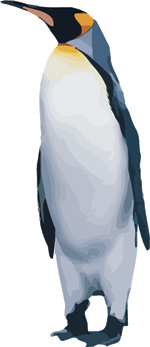 Free Penguin vector