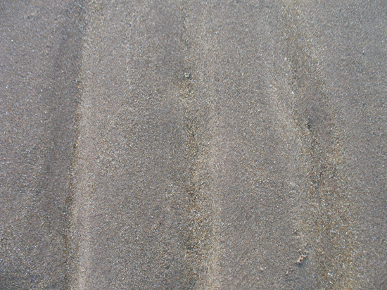 A Free Wet Sand Texture is provided on this page!