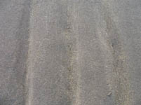 Free Wet Sand Texture