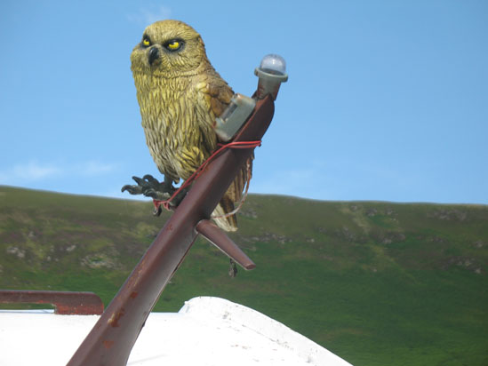 Picture of   The Owl on the small boat near Lochranza castle is shown on this page.