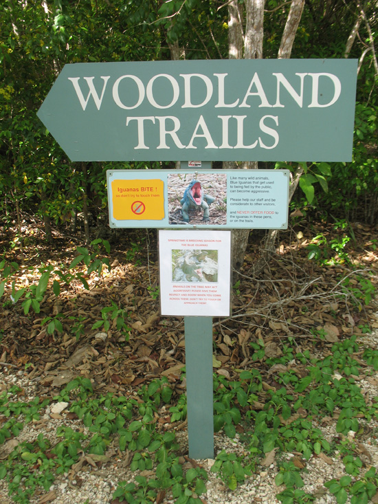 woodland in the trails sign in the trail,Botanic Park cayman picture