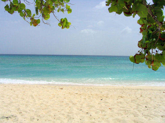 A picture of the view our to sea from Cemetery beach, Grand Cayman. 