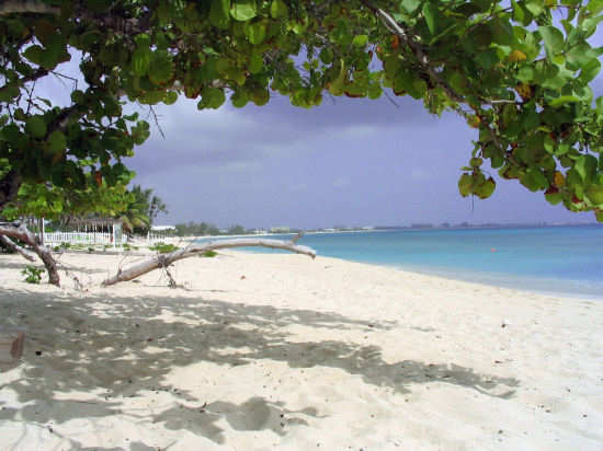 A picture of the view of Seven Mile beach from Cemetery beach , Grand Cayman. 
