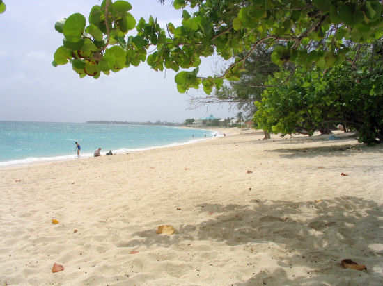 A picture of the view along Cemetery beach, Grand Cayman. 