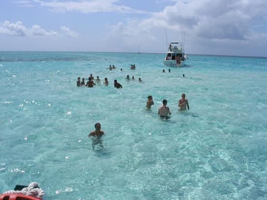 A picture of Stingray City, Grand Cayman.