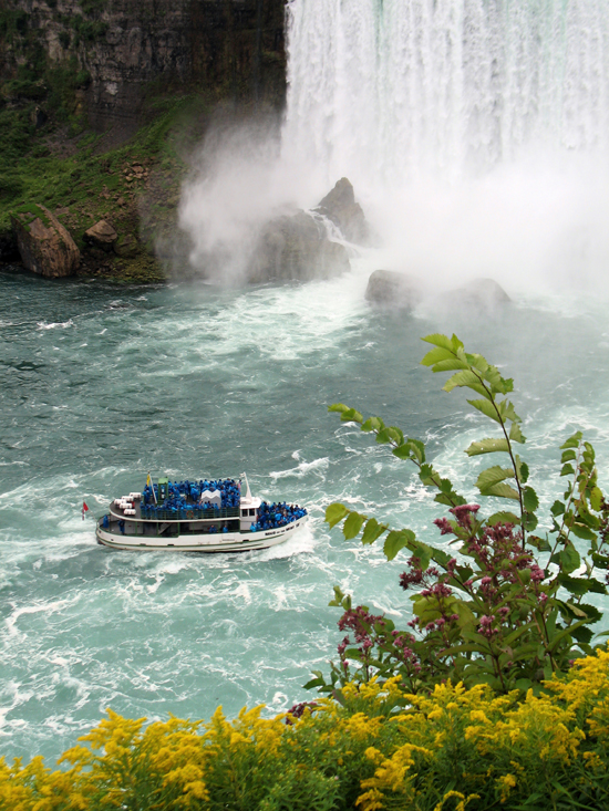 Picture of  The  Maid Of The Mist Four Near Niagara Falls  is shown on this page.