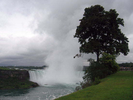 Picture of  The  Niagara Falls With A Tree  is shown on this page.