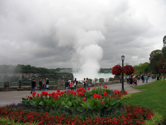 Picture of  The  Niagara Falls With Flowers In Foreground  is shown on this page.