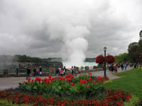  Niagara Falls With Flowers In Foreground Picture