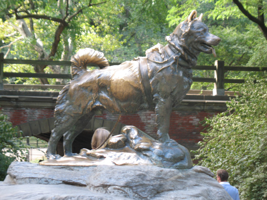 Picture of  The Statue of Balto the Heroic Husky Dog, Central Park, New York, USA is shown on this page.