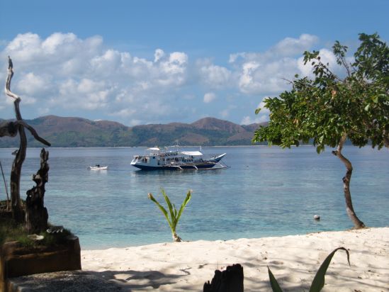 club paradise coron philippines karen claire dive boat framed picture
