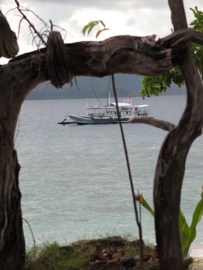 club paradise coron philippines karen claire dive boat picture