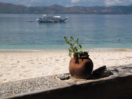 club paradise coron philippines karen claire dive boat plantpot landscape picture