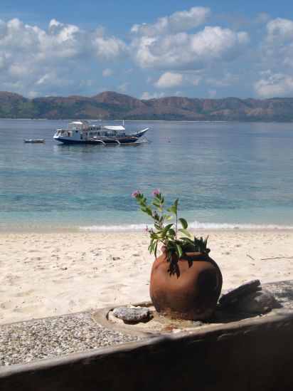 club paradise coron philippines karen claire dive boat plantpot portrait picture