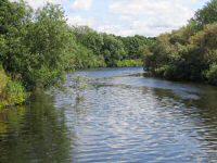 The River Clyde at Strathclyde Country Park, Scotland