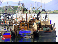 Free Oban Harbour, Scotland, UK Desktop Wallpaper