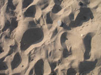 Free Beach Sand Texture