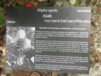 akee sign in the heritage garden,Botanic Park cayman picture