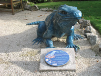 blue iguana statue in the visitors centre,Botanic Park cayman picture