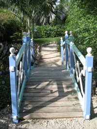 bridge to lawn garden in the floral color garden,Botanic Park cayman picture