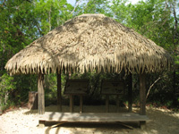 hut in the trail,Botanic Park cayman picture