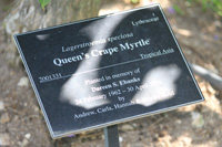 queens crape myrtle sign in the floral color garden,Botanic Park cayman picture