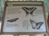 wildlife in the woodlands sign in the trail,Botanic Park cayman picture