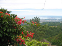  Kingston From Strawberry Hill at Strawberry Hill, Jamaica