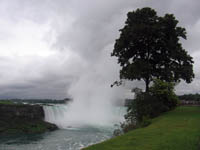  Niagara Falls With A Tree Picture